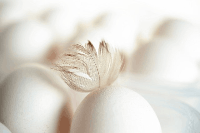 Egg Whites For Cystic Acne Treatment