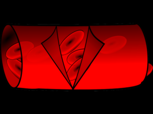 Read more about the article Is It Possible to Rejuvenate Blood Vessels From Aging