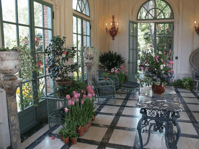 Top 6 Great Health Benefits Of Flowers 2