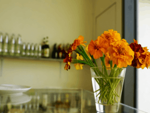 Read more about the article 3 Common Types of Outpatient Alcohol Recovery Programs